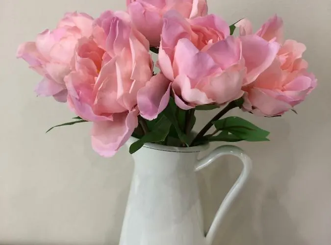 Family Avenue Accommodatie bij particulieren *